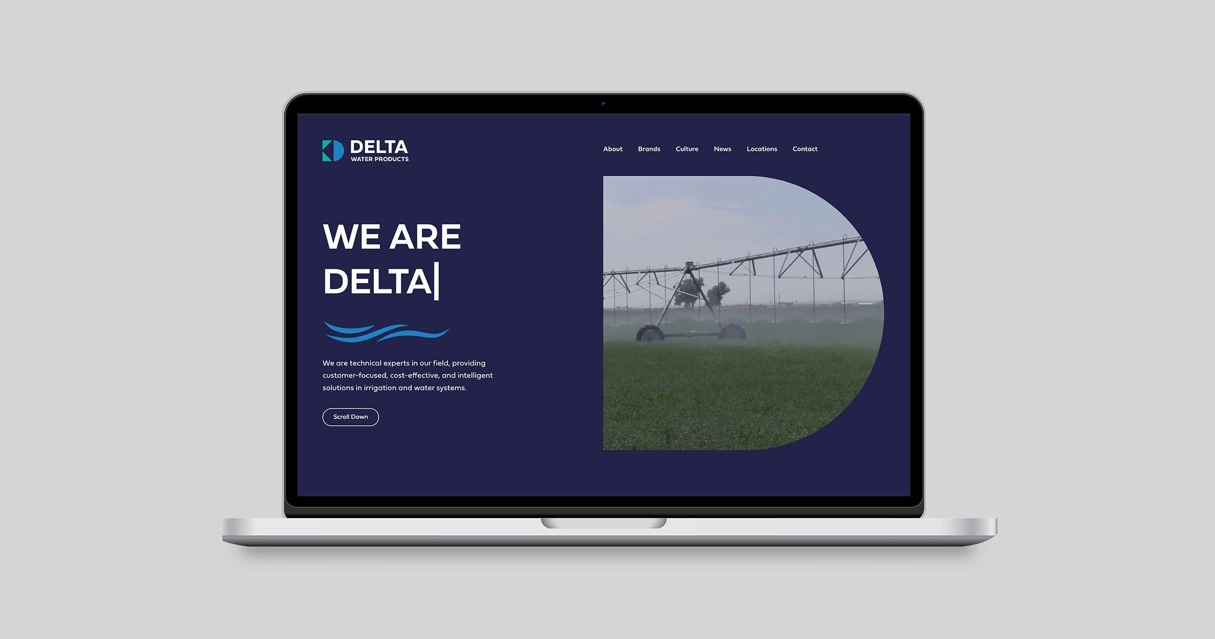 Delta website homepage mock up on laptop